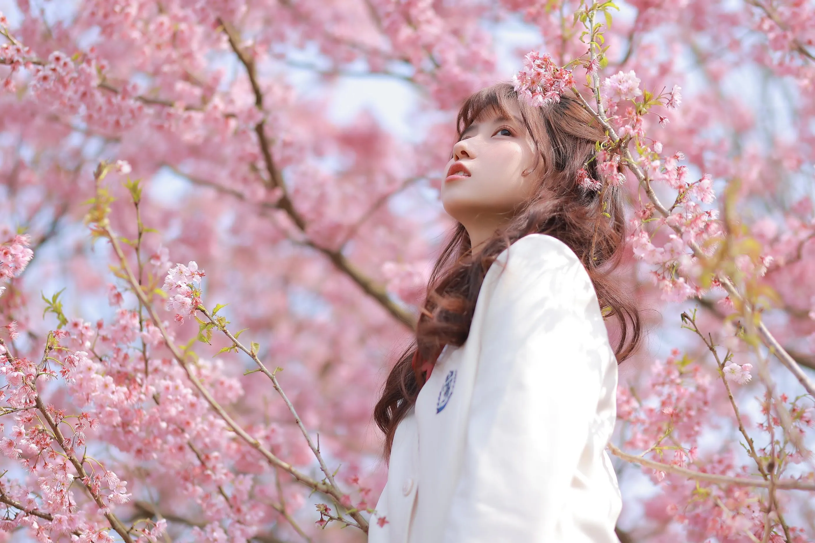 [YITUYU艺图语]2022.09.21 樱花 lovelatte11 [22P]插图